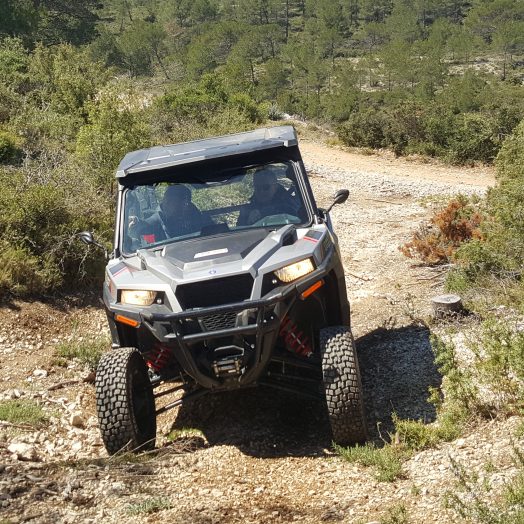 Buggy 01